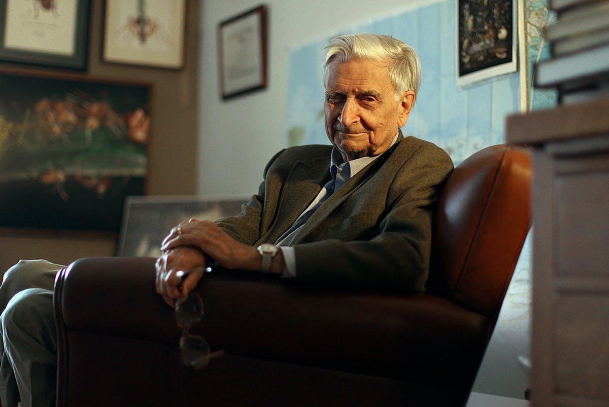 Edward O. Wilson sitting in a chair in his office