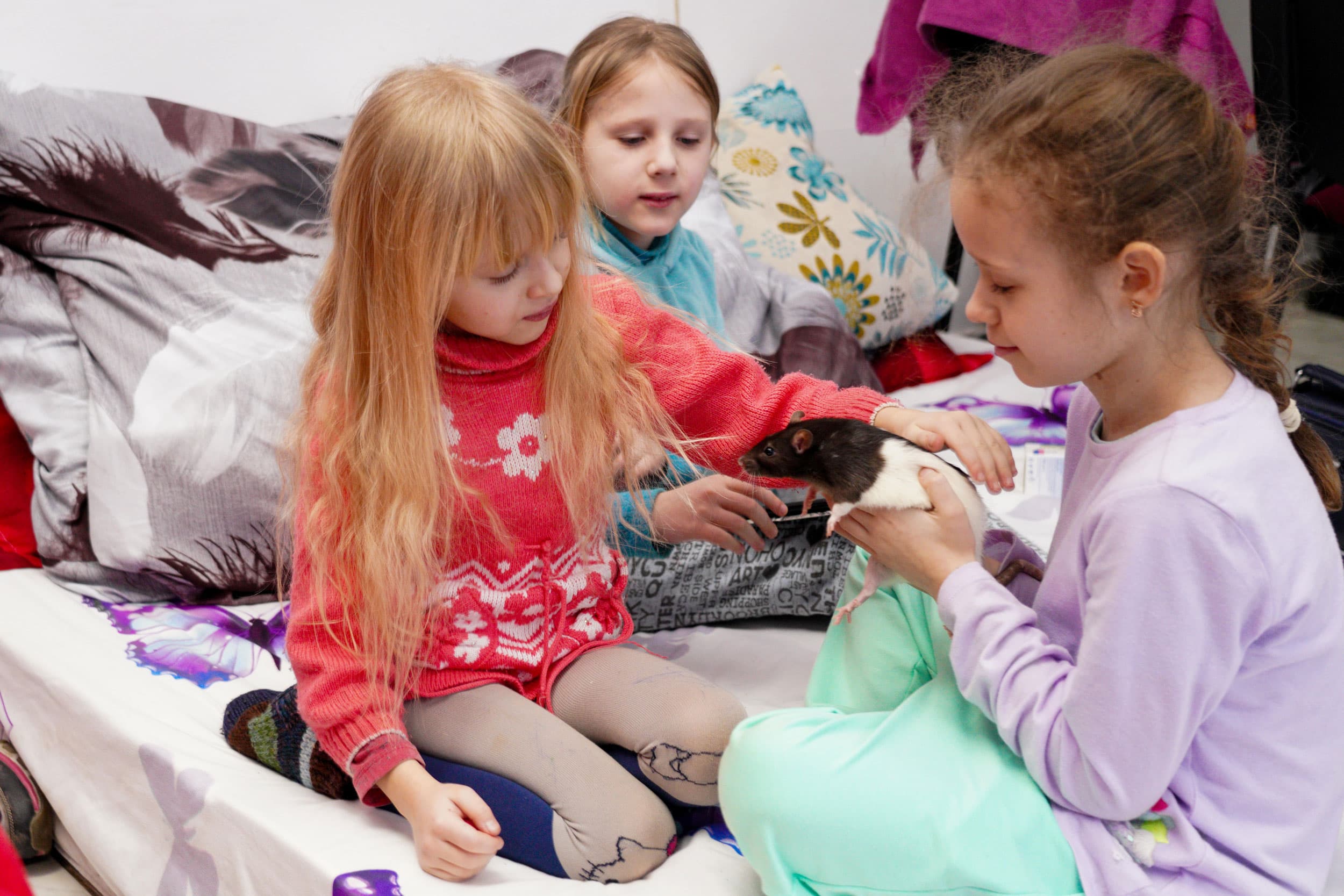 The daughters of the two families sit down to play with their pet rat, Sara.