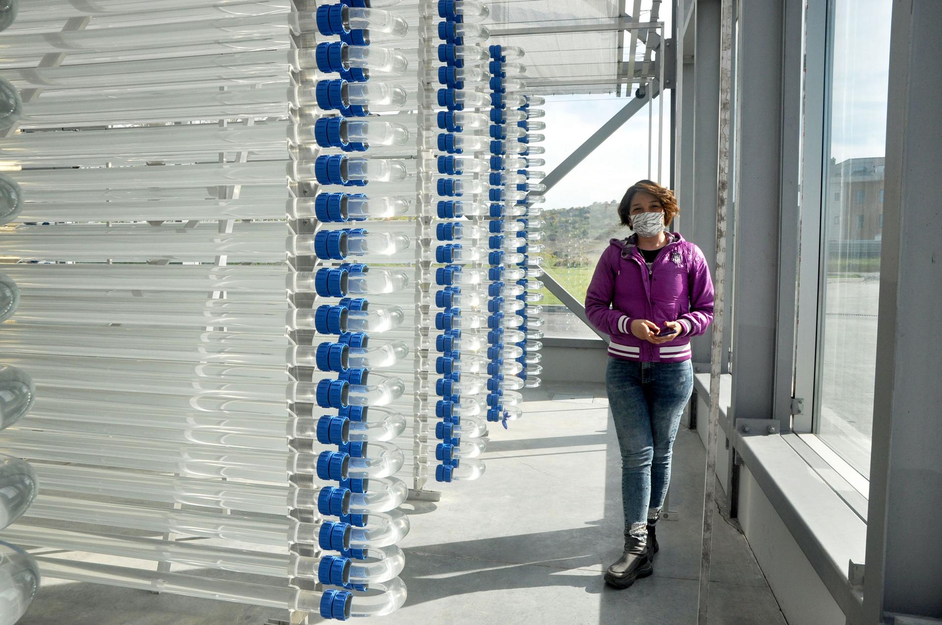 Irem Karamollaoğlu, project expert for the lab,  stands near a rack of clear, interconnected tubes used to grow food-grade algae at the Istanbul Microalgae Biotechnologies Research and Development Center. 