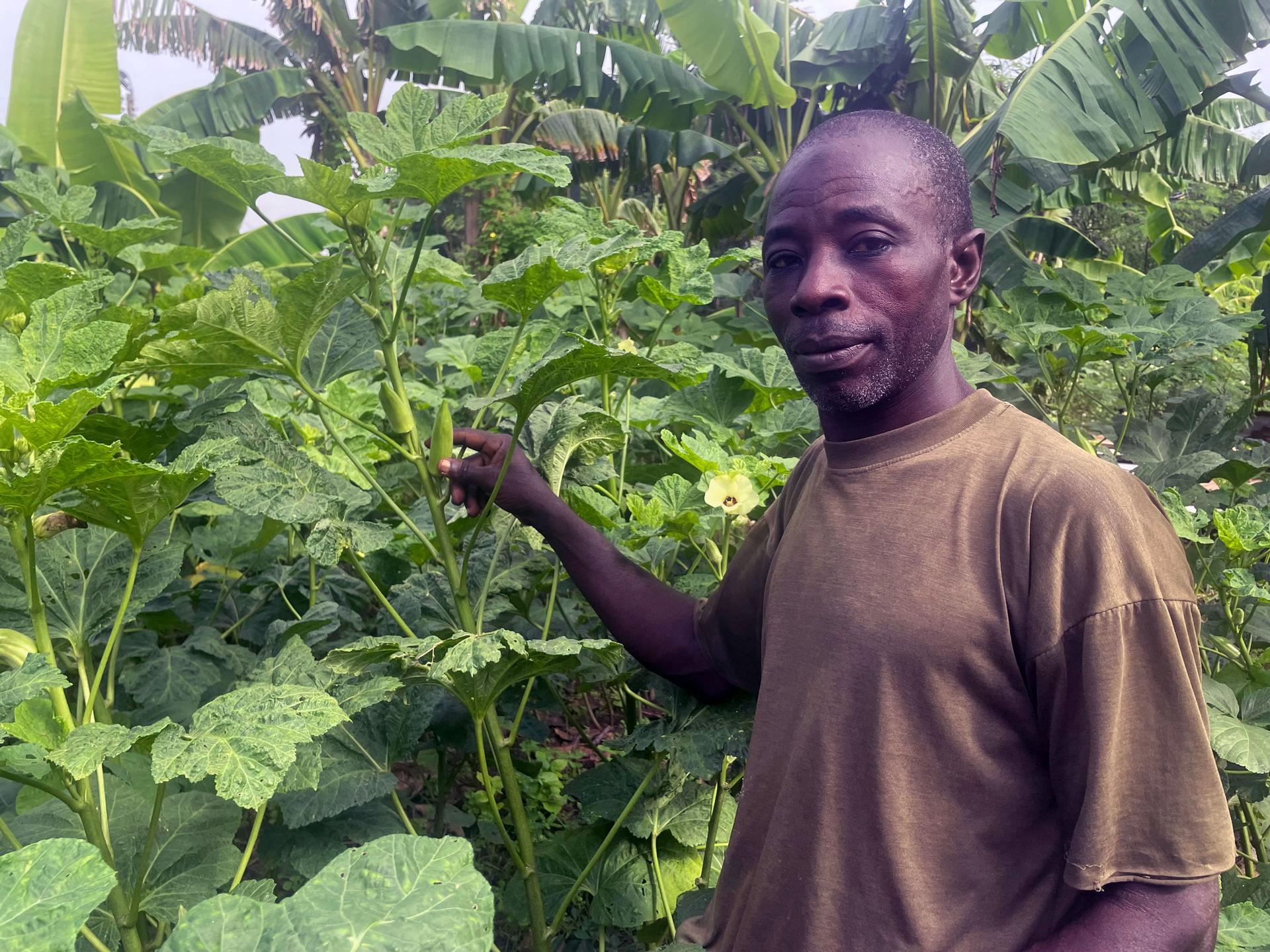 Kassim Ahmed stands by his okra crop. He's been farming for 26 years. 
