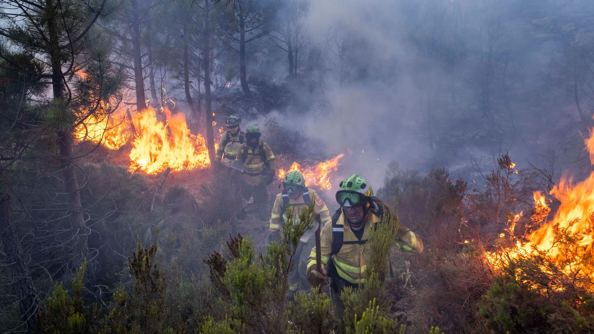 Forest firefighters work on a wildfire near the town of Jubrique, in Malaga province, Spain, Saturday, Sept. 11, 2021. 