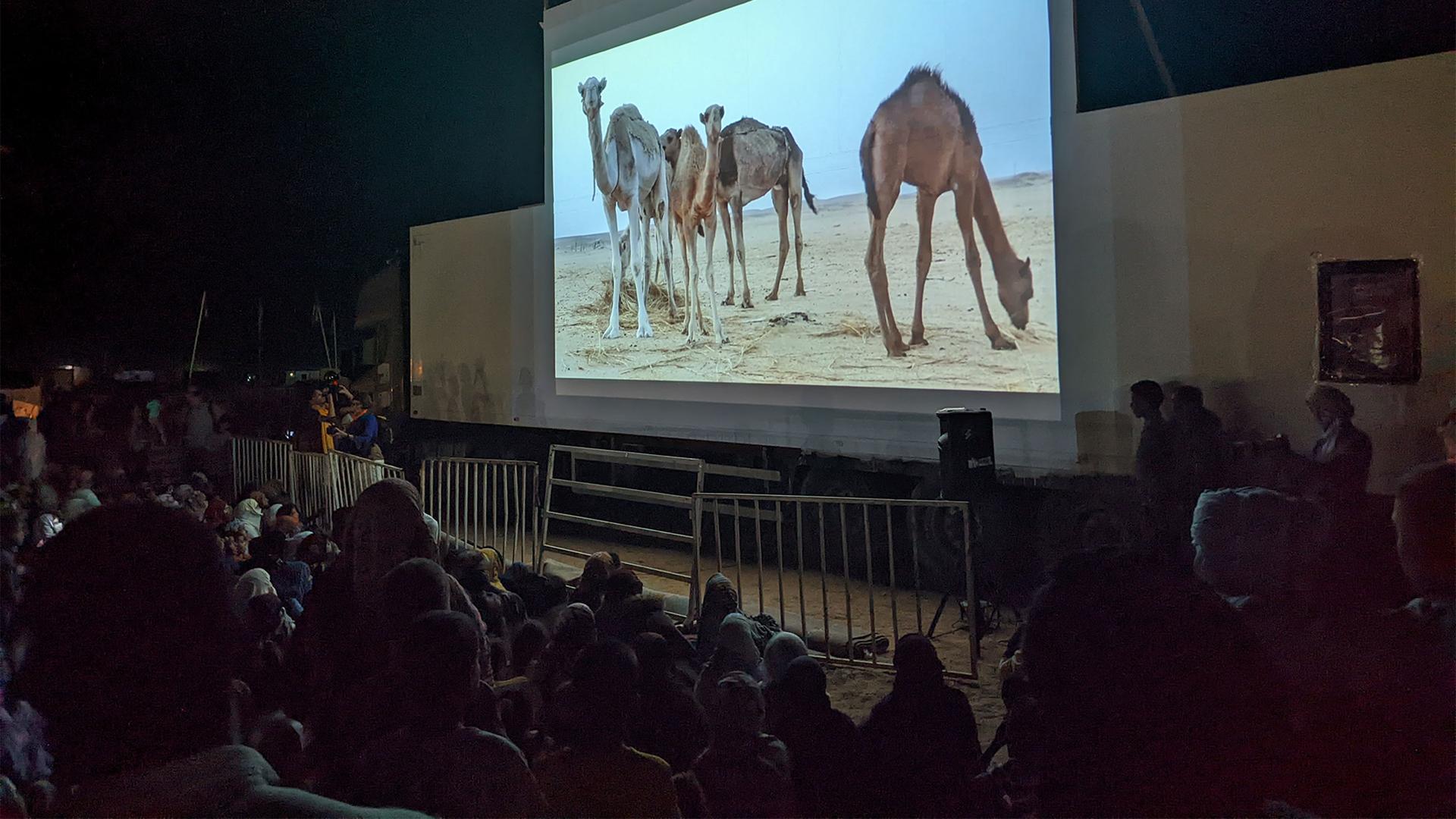 A film screening at the FiSahara 2022 film festival