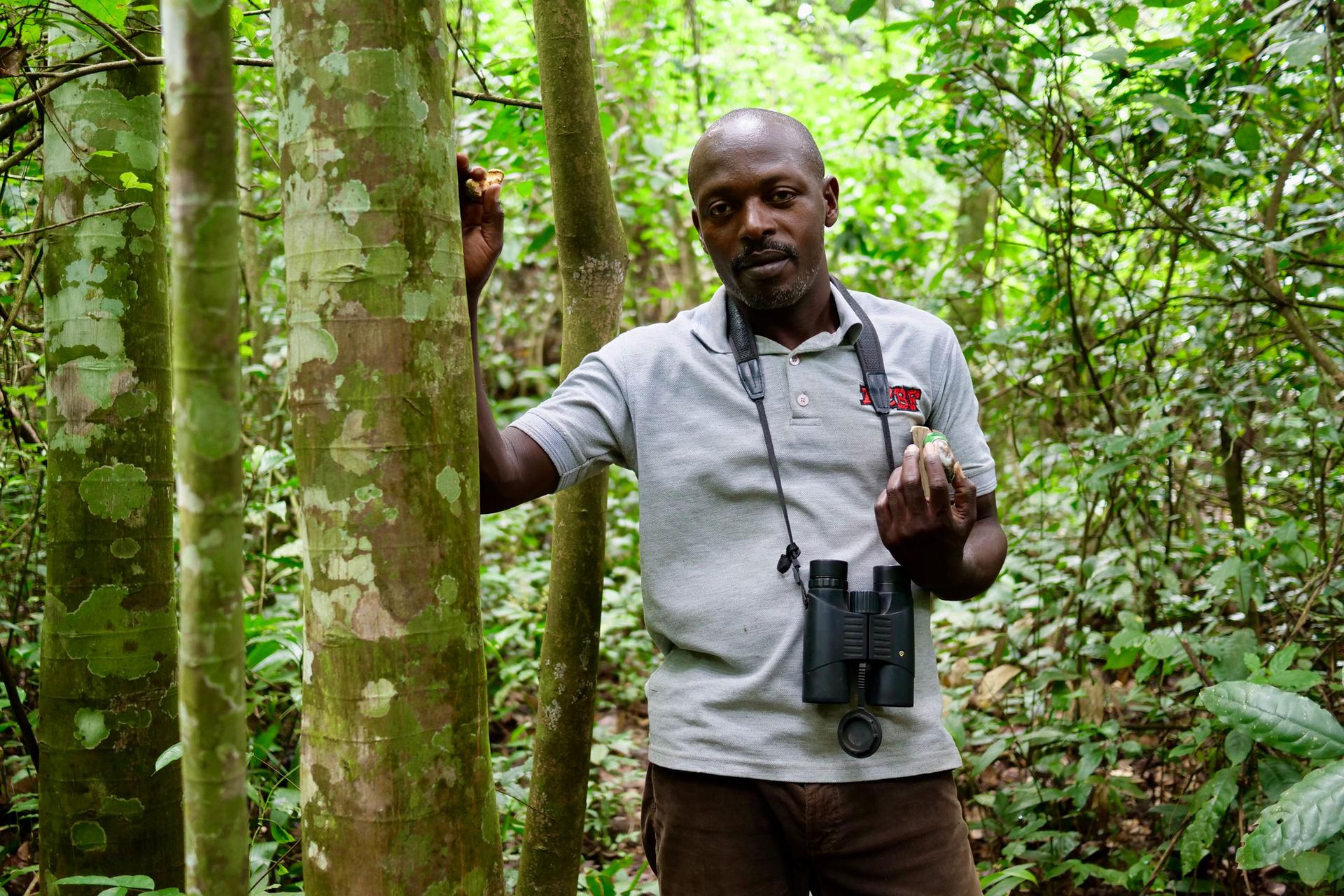 Conservationist and tour guide Nazario Assimwe in Bugoma forest, the Hoima district, Uganda. 