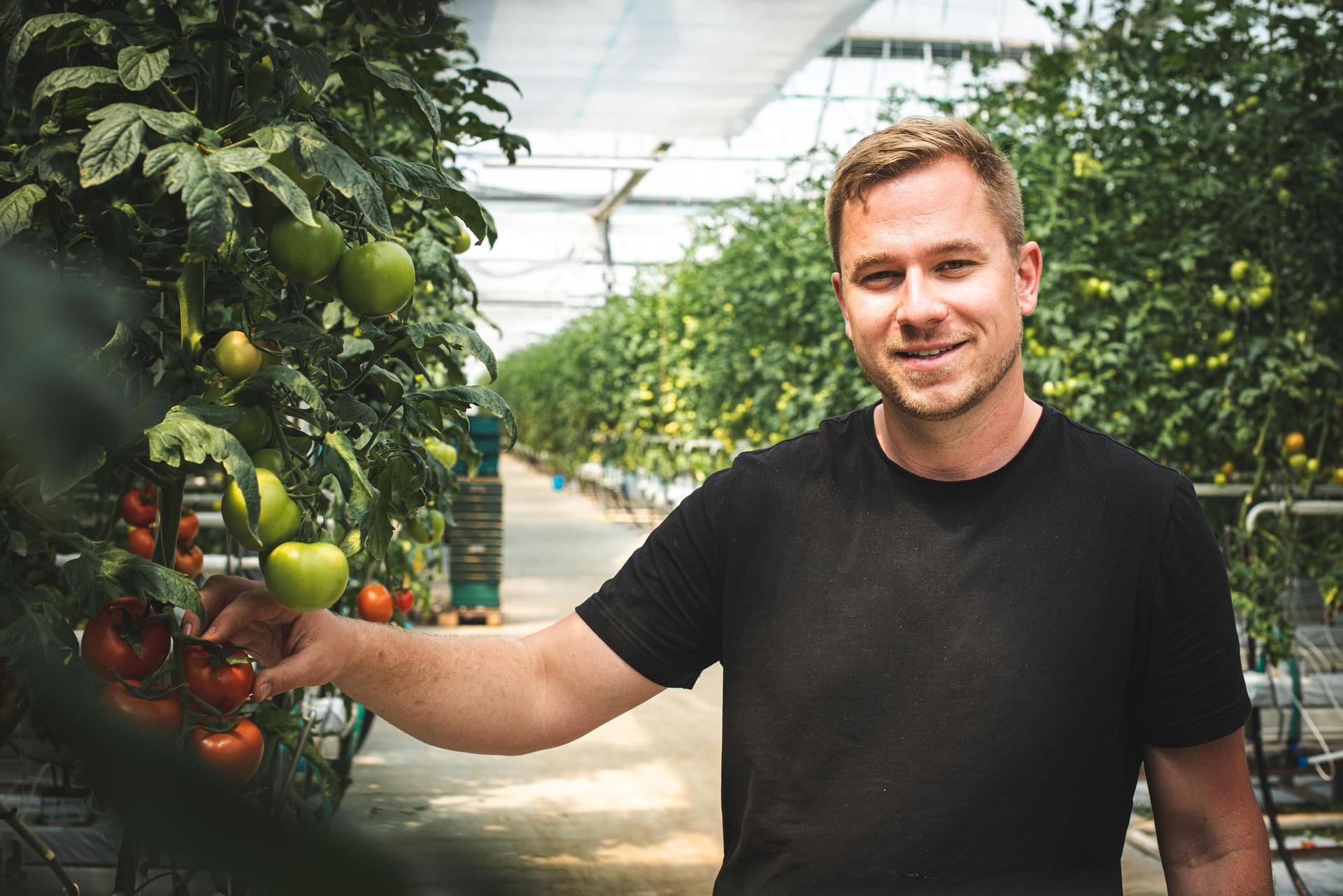 Matěj Sklenář, 28, the head agronomist at Ráječek Farm in the south of the Czech Republic, stands in one of the farm's hydroponic greenhouses.