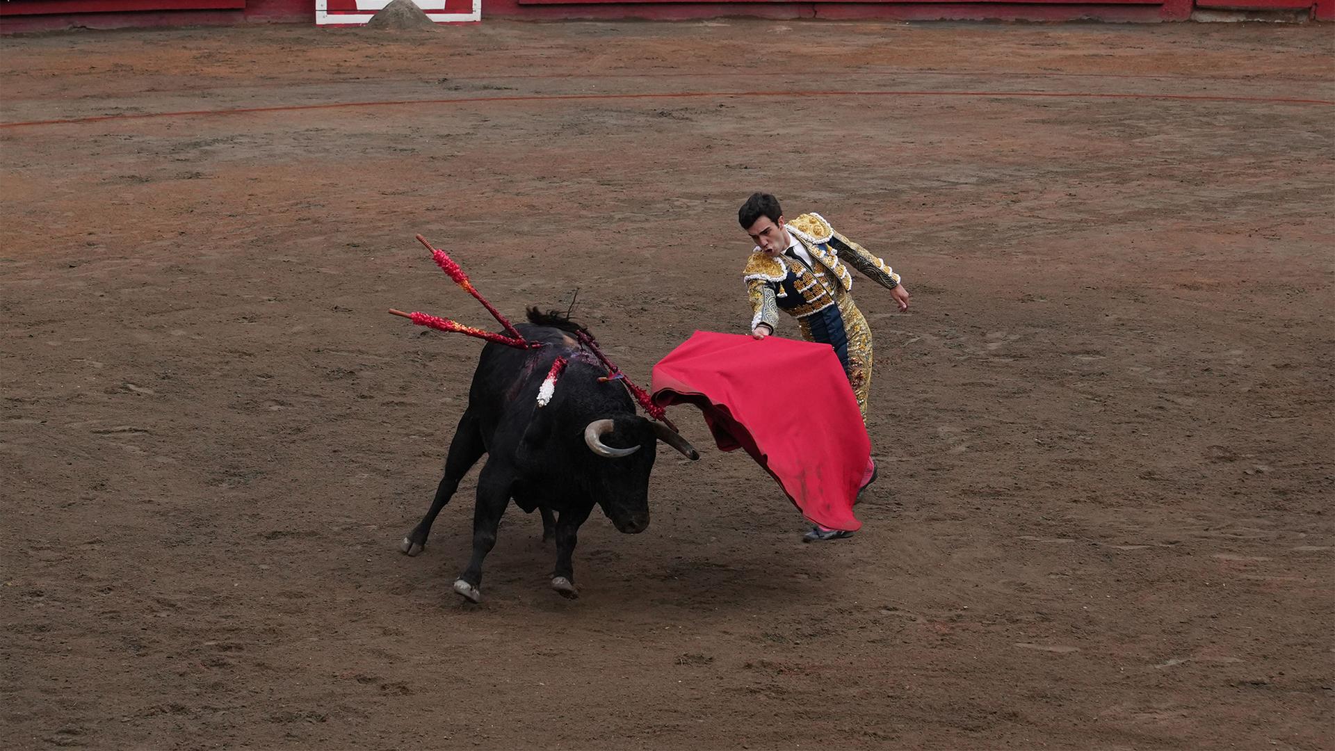 Bullfighting is still legal in the Colombian city of Manizales, which holds a major festival on the first week of January.