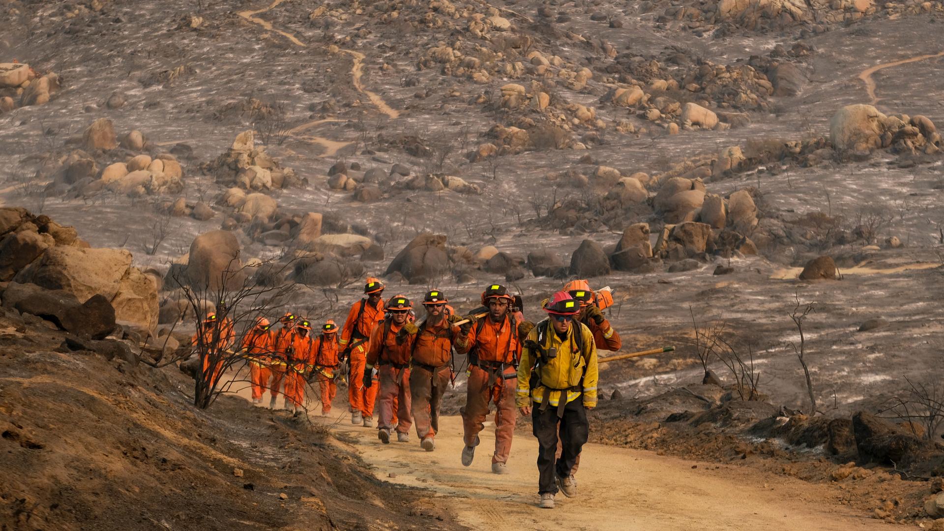 firefighters in a line