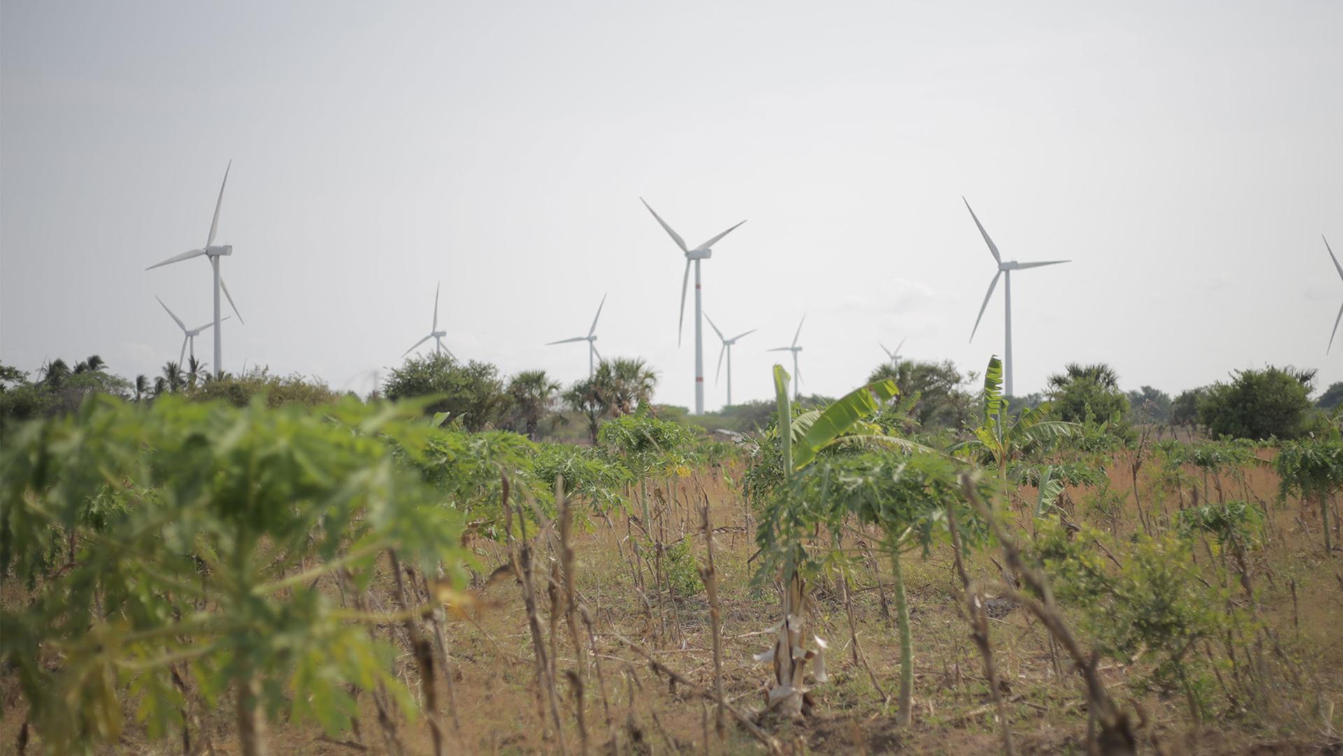 Wind generators near the Indigenous town of Juchitán de Zaragoza in Mexico.