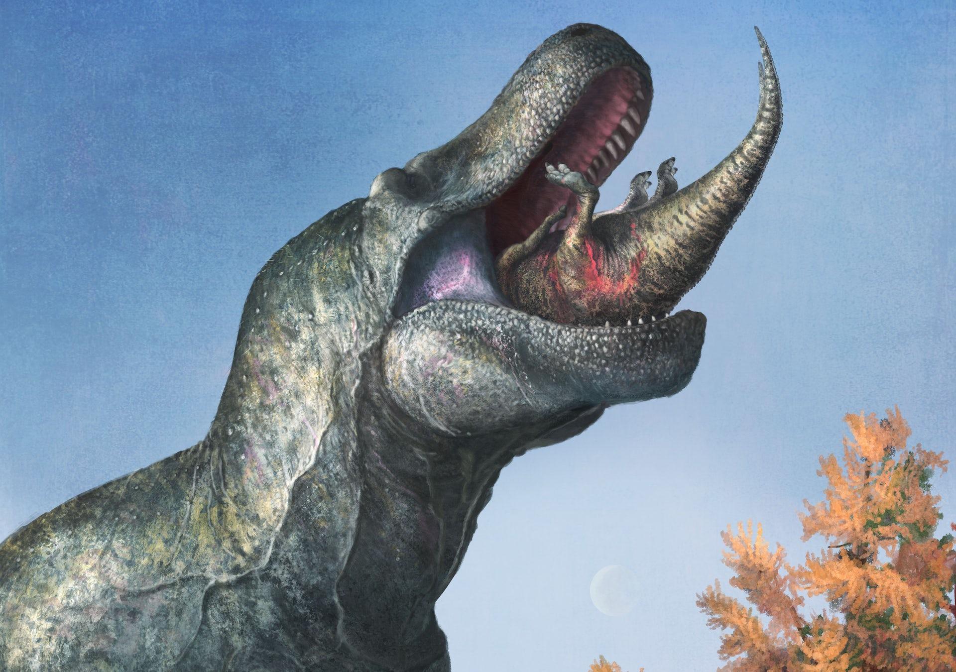 An artistic depiction of a T-Rex eating a smaller dinosaur. 