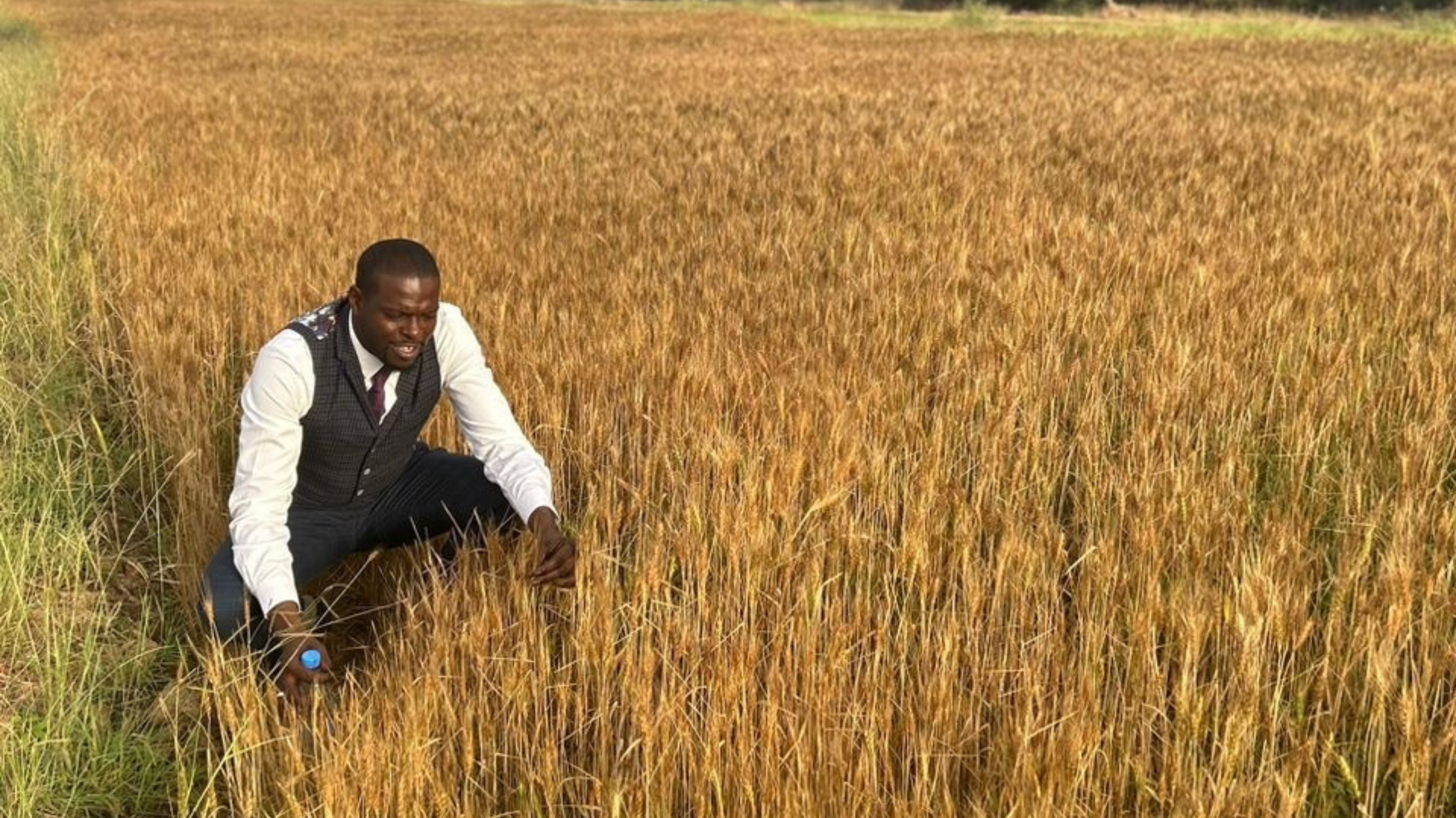 man in a vest kneeling in wheat field