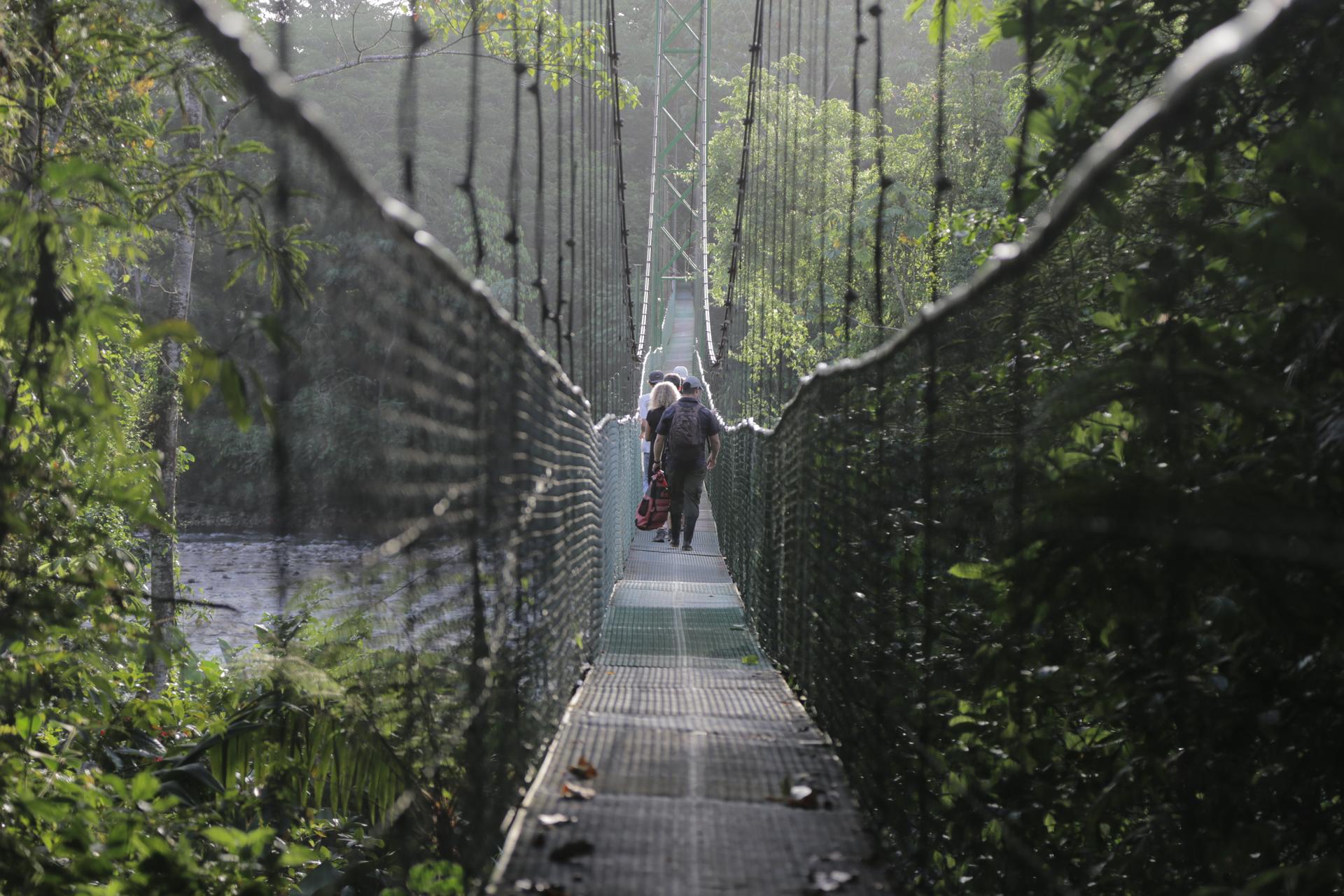 The privately-run Tirimbina Biological Reserve boasts of having the longest suspension bridge in Costa Rica, nearly 1,000 feet across the rushing Sarapiquí River.