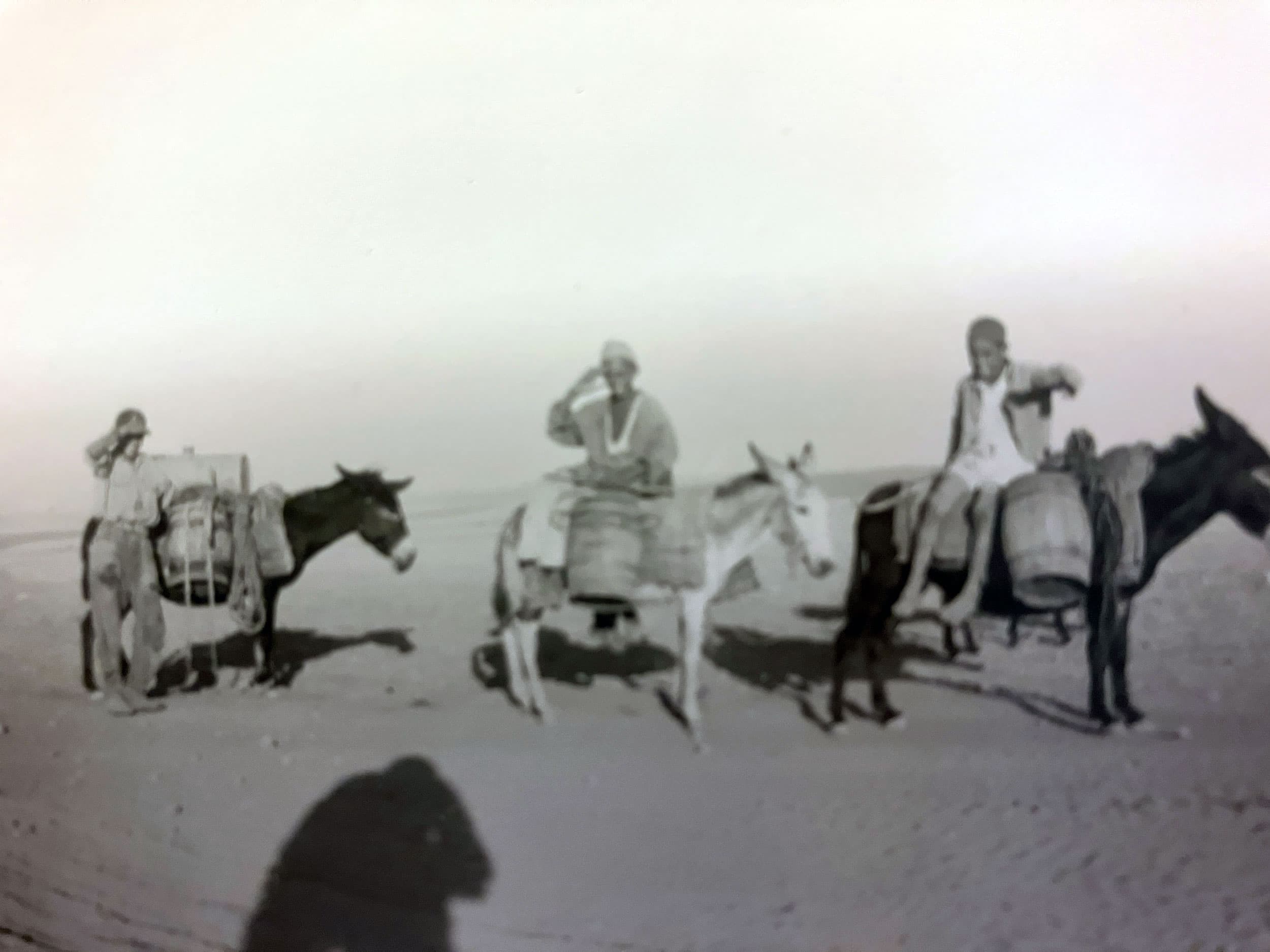 Three young men ride donkeys in the Algerian desert. In April 1943, Manuel E. Lichtenstein, a doctor in Chicago, went to Algeria for five months of training before heading to Italy to set up field hospitals.