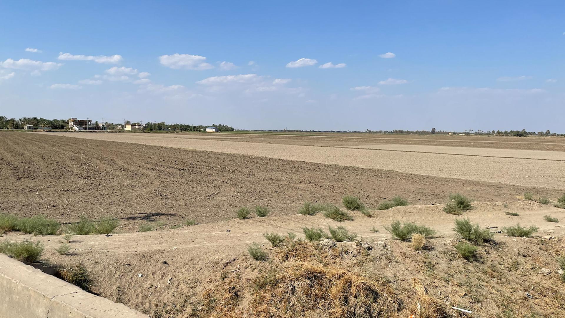 Salah Fareeq Al-Feroun's farm sits unattended without the necessary water to cultivate Iraq's signature anbar rice, Al-Meshkhab, Najaf Province, Iraq, Aug. 30, 2023.