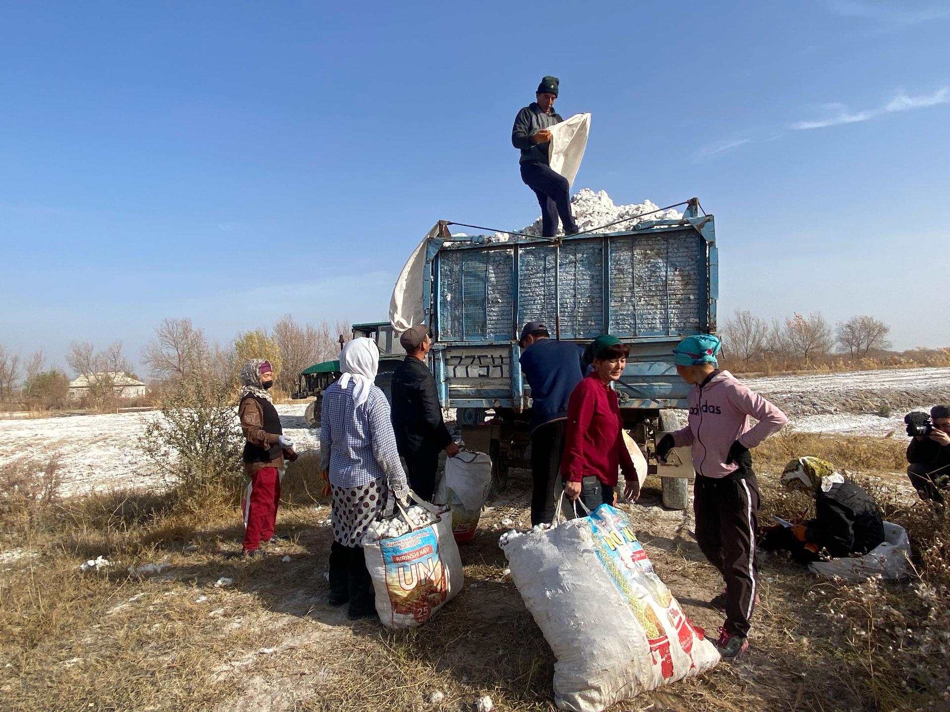 Uzbek workers line up to weigh bundles of cotton that will eventually be spun into yarn and turned into clothing sent all over the world.