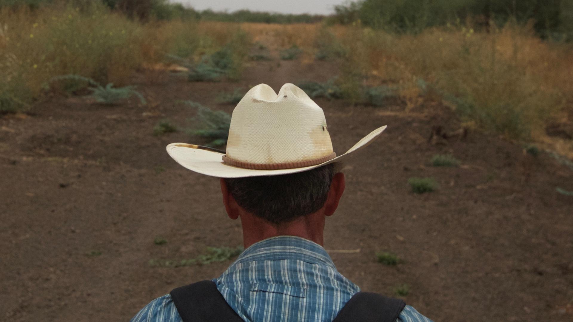 A back shot of a man wearing a bookbag and hat looking into a grass pathway