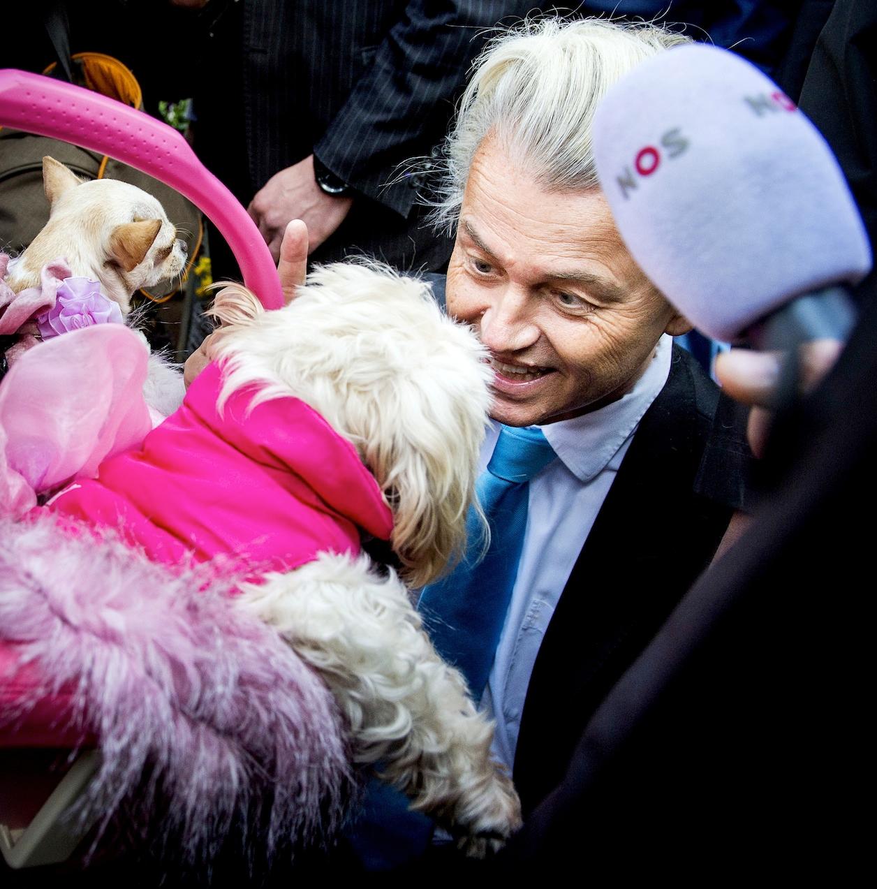 In this 2014 photo, leader of the Party for Freedom (PVV) Geert Wilders greets a little dog at a market in The Hague during campaigning.