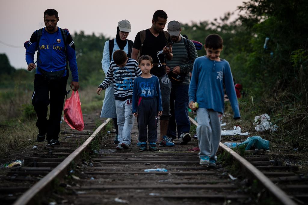 Migrants walk towards the Hungary-Serbia border on Aug. 27, 2015.