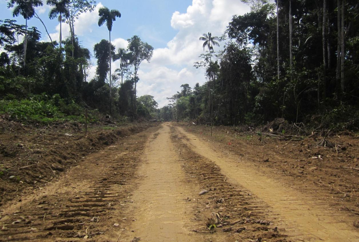 Road through Peru's Amazon