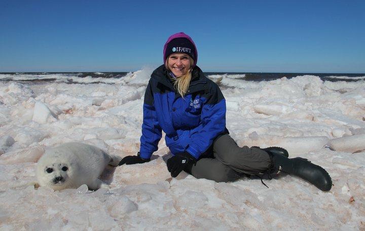 Sheryl Fink of International Fund for Animal Welfare/IFAW sitting on Arctic Ice near a harp seal pup wearing a toque made of organic materials.