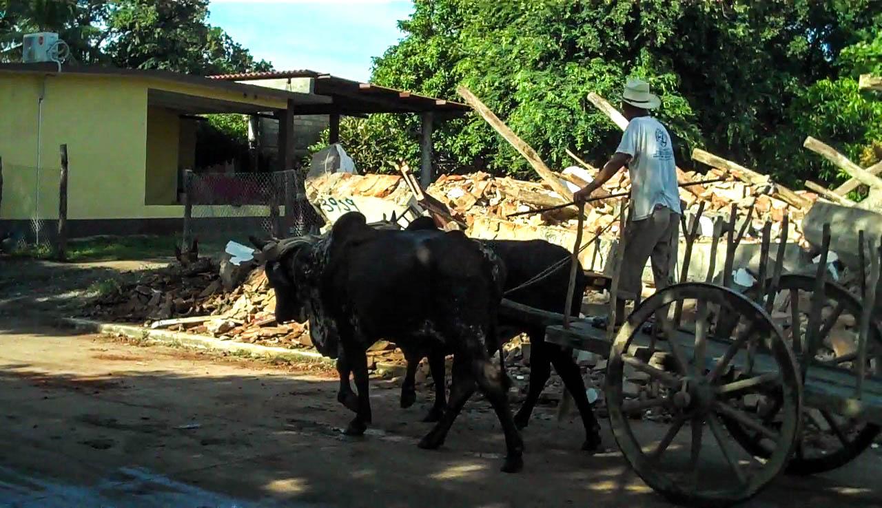 A man drives an oxcart past the rubble of what was once a traditional-style home in Unión Hidalgo, Oaxaca.
