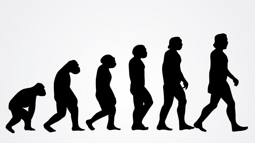 Many silhouetted figures depicting the evolution of man