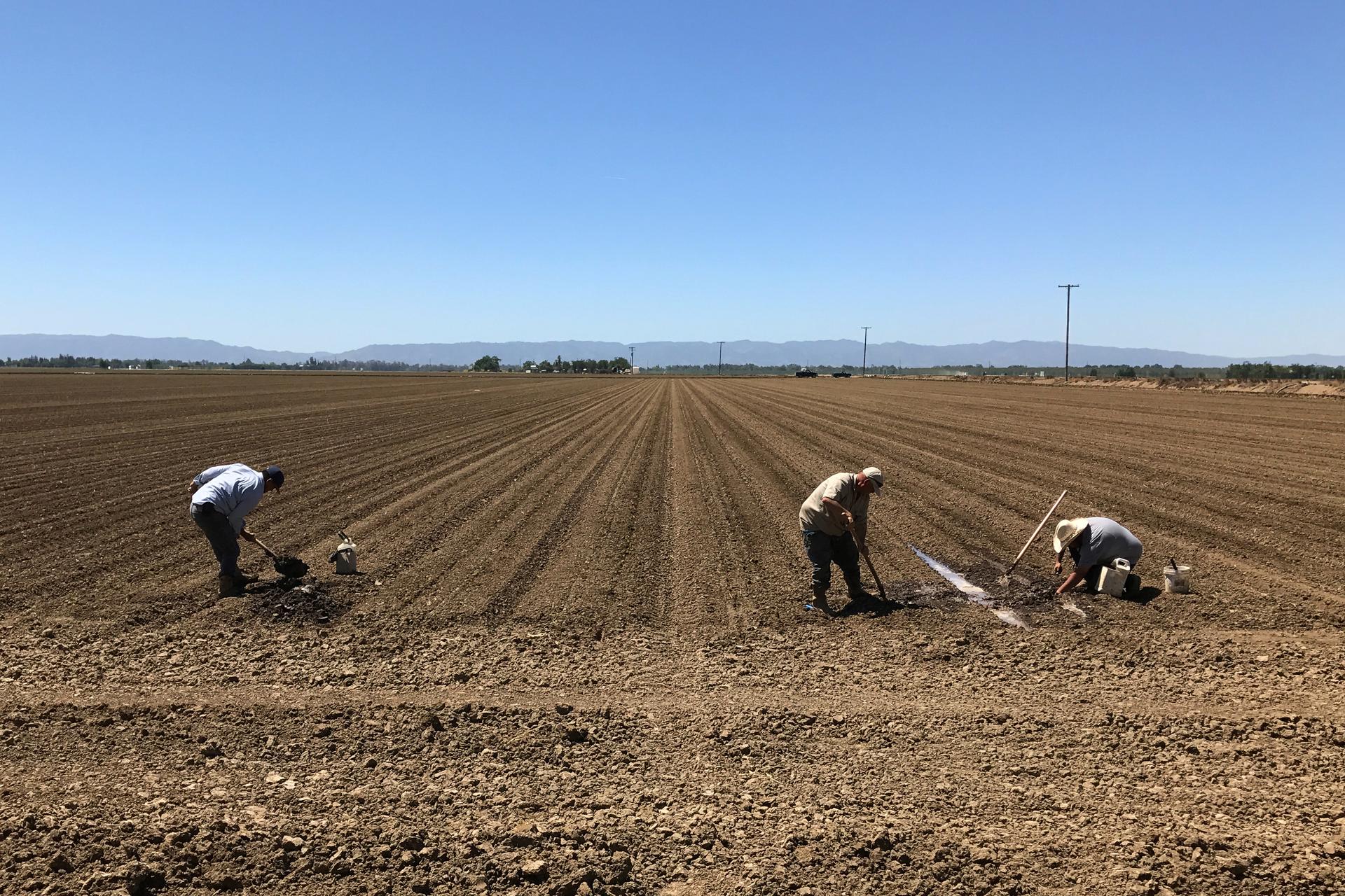 Farm workers repair irrigation pipes during spring planting