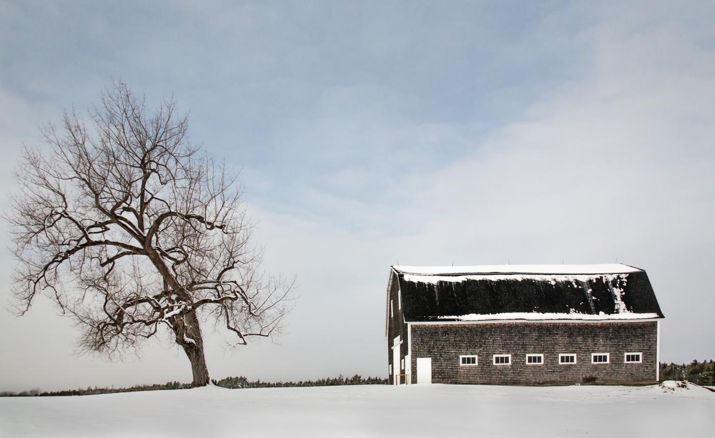 Winter scene of a barn covered in snow