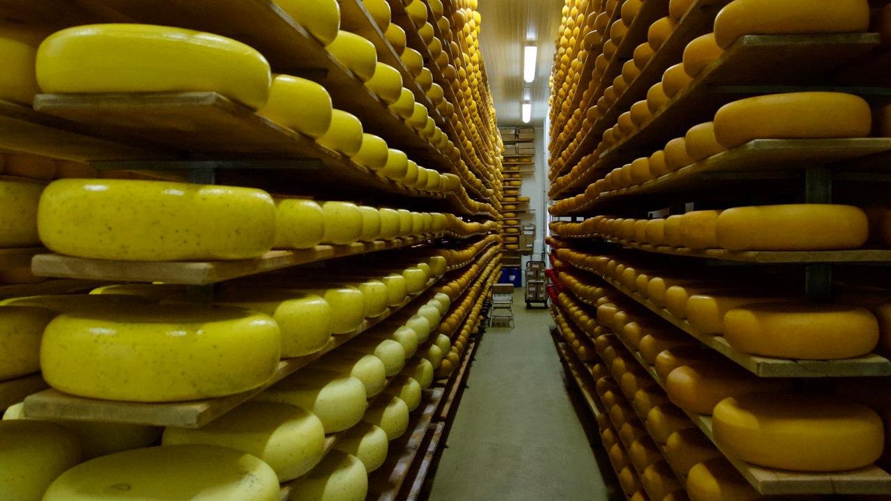 At Mountainoak Cheese in rural Ontario, their Gouda is winning awards. The owners support Canada's tariffs on cheese imports.