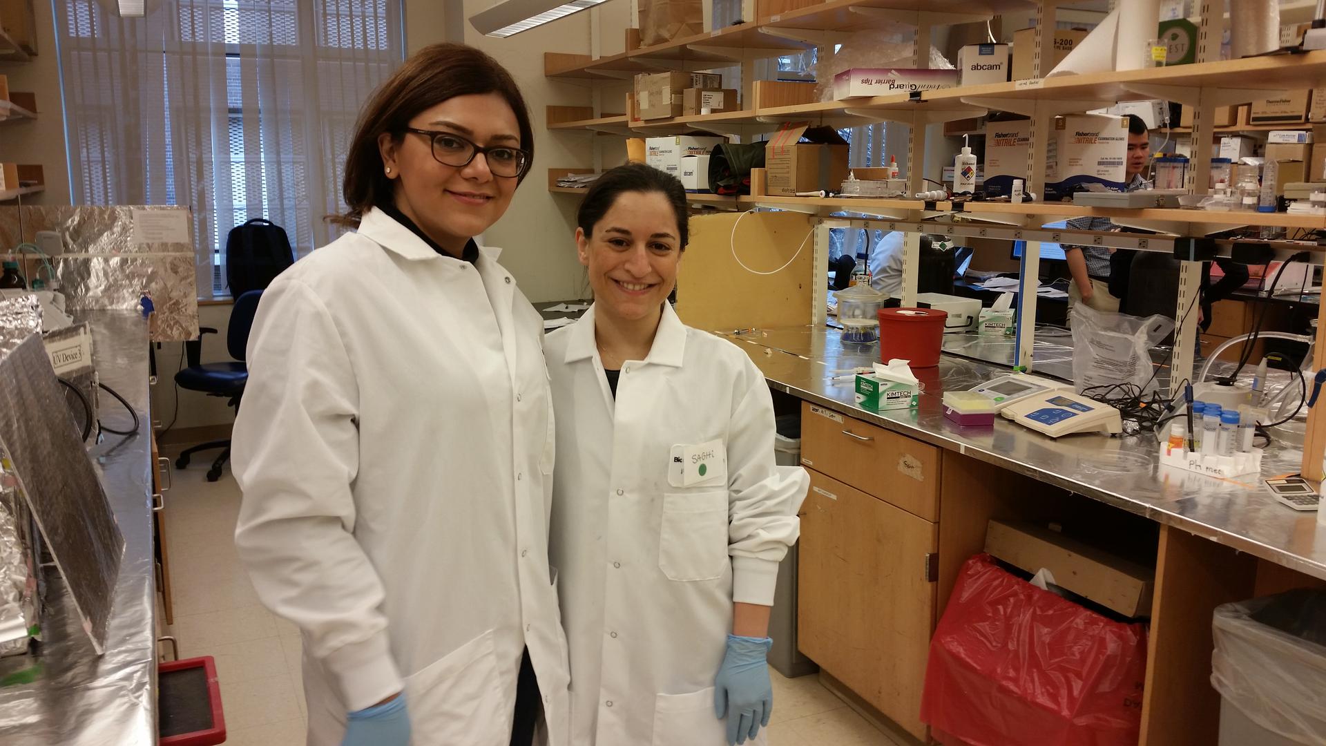 Two Iranian scientists who work at a Harvard laboratory