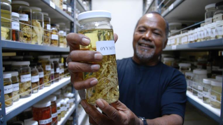 Emilio Basilius of the Coral Reef Research Foundation holds up one of the hundreds of samples of marine organisms for the National Cancer Institute in the US. 