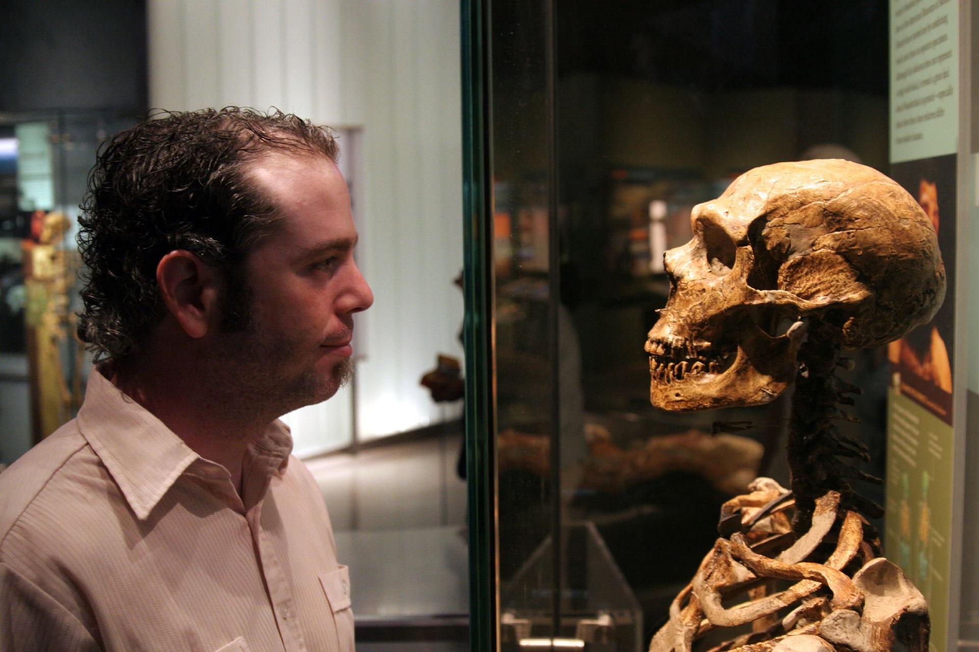 A man looks at a Neanderthal fossil at the American Museum of Natural History in New York.