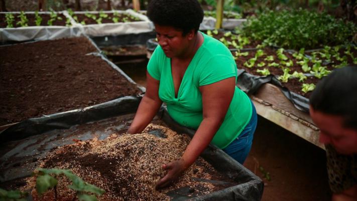 Farmer Maria Luisa Jimenez eliminates greenhouse gas emissions from synthetic fertilizers by growing vegetables in the mixture of biochar, compost, rice husks and coconut fiber.