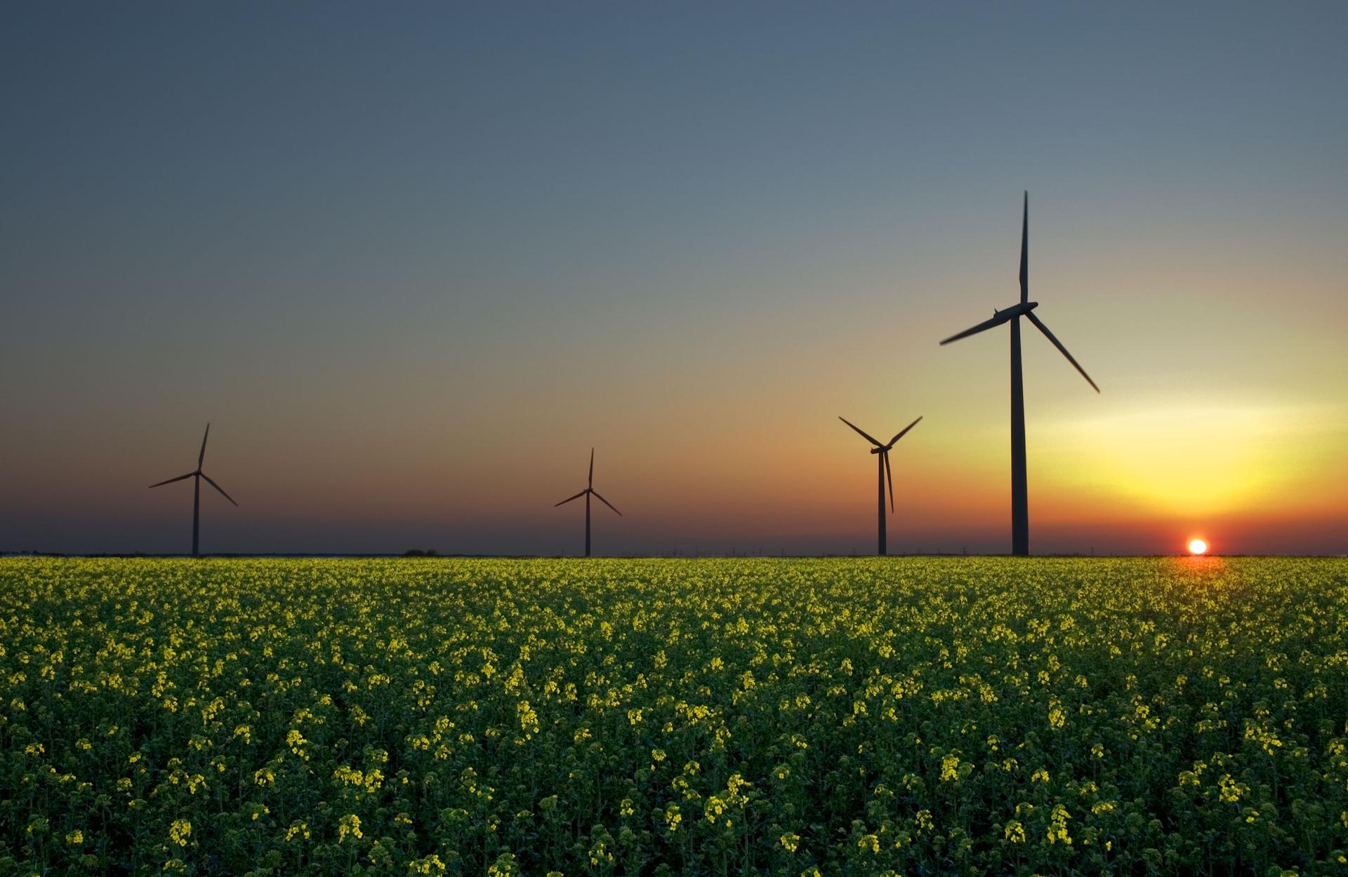 Wind turbines in a rapeseed field in Sandesneben, Germany.