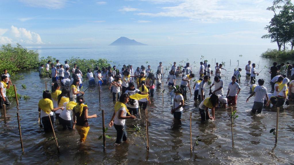 Local residents help replant mangrove trees on a degraded beach on the Indonesian island of Sulawesi. Tropical mangroves are vital for both fish habitat and protection from storms, but over the last few decades they've been disappearing around the world a