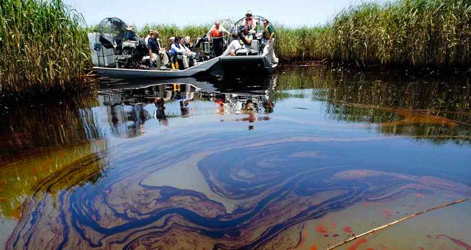 Oil in Louisiana coastal marshes