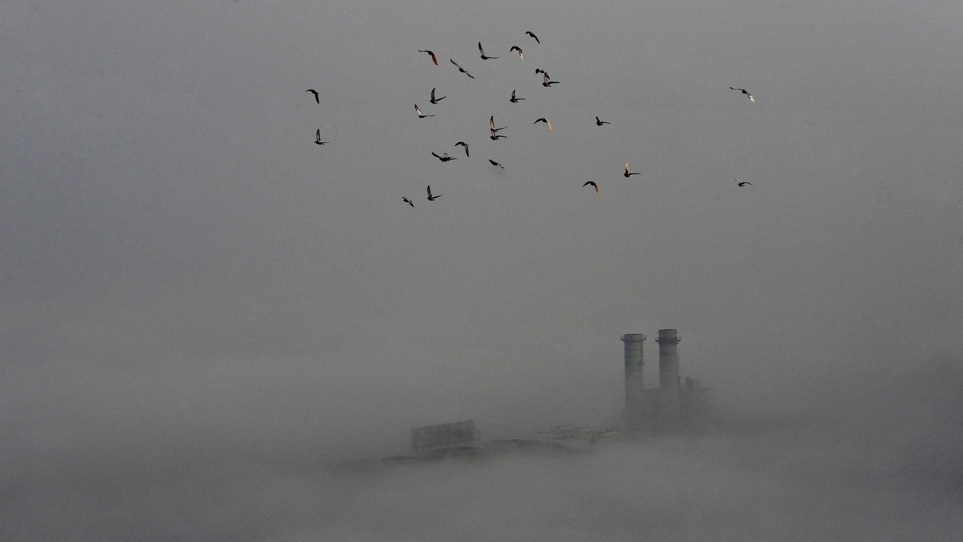 Birds fly across the sky on a polluted day in Wuhan, Hubei province, on February 16, 2015.