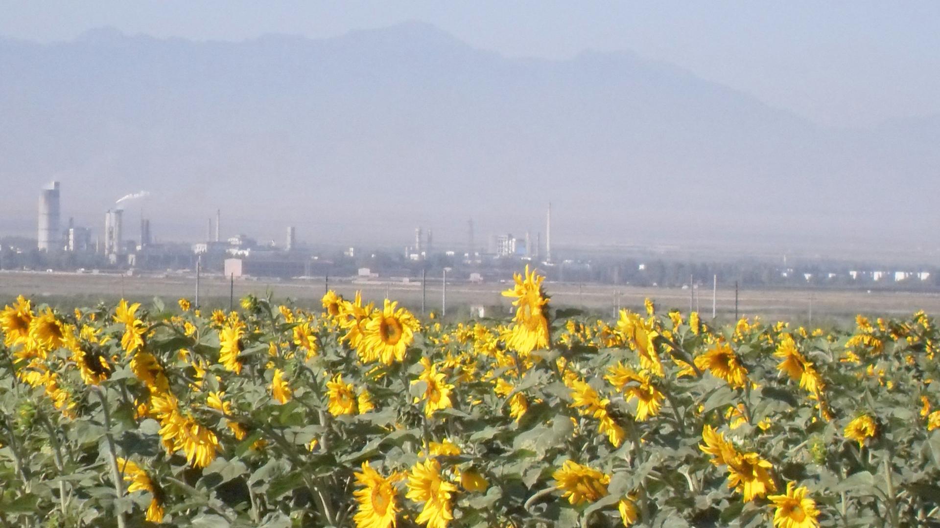 China power plant in Xinjiang
