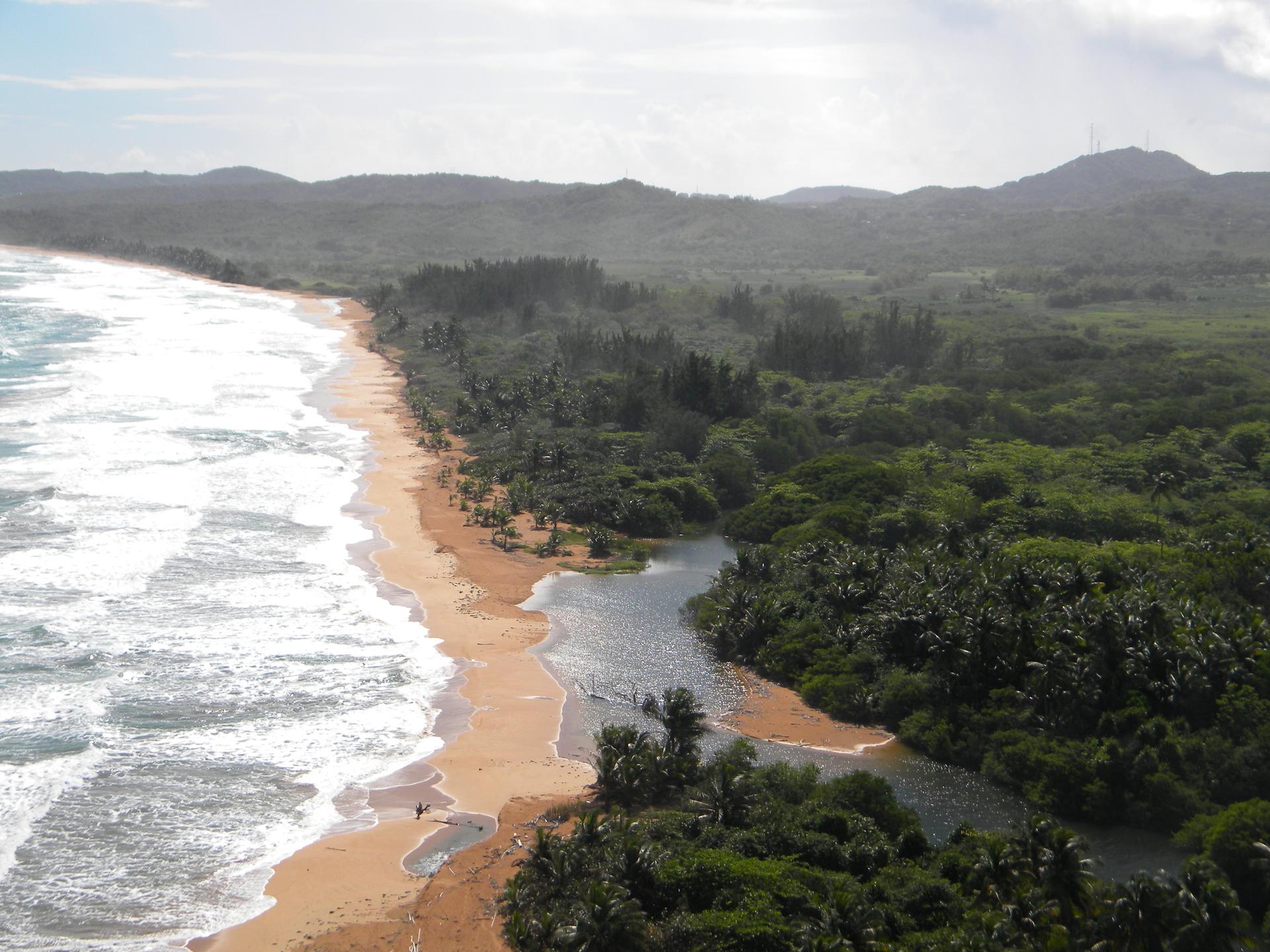 The Northeast Ecological Corridor covers 3,000 acres of prime oceanfront property on Puerto Rico's northern coast. In addition to its scenic and recreational value, it has enormous bilogical significance as a primary nesting ground for the endangered leat