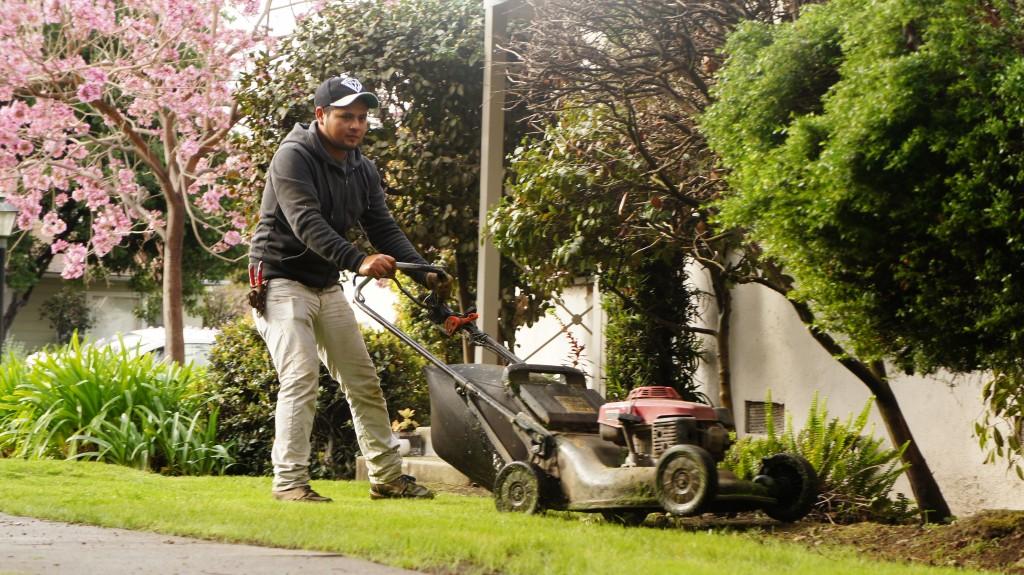 Business-minded immigrants often turn to gardening work because the start-up costs are relatively modest — namely the price of the truck and the gardening equipment.