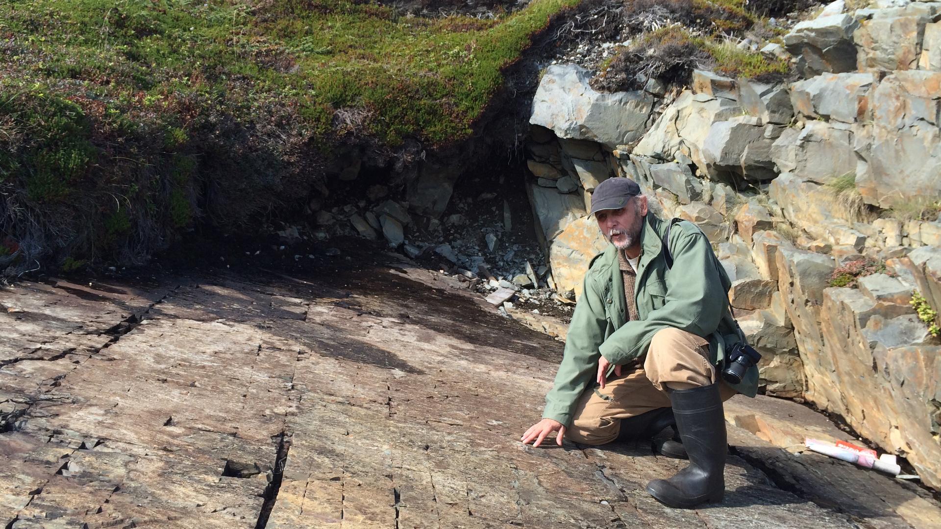 Don Johnson, a former park ranger, on a fossil walk near his home on the Bonavista Peninsula in Newfoundland. As a kid, he used to climb on these rocks, but he says people here never know the fossils in these rocks were so significant.