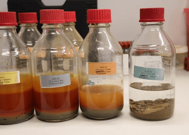 Sediment from a stream bed containing fracking wastewater (jars on the left) developed orange residues after 90 days; sediment from a clean stream bed (jar on the right) did not.