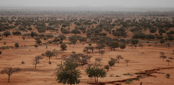 The Sahel