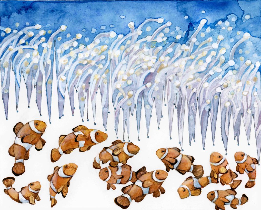 “Habitat Degradation: Ocean Acidification” contains ocean pH data from 1998 to 2012. Research on clownfish has shown that more acidic water affects their ability to detect the chemical signals that they used to find their way home.