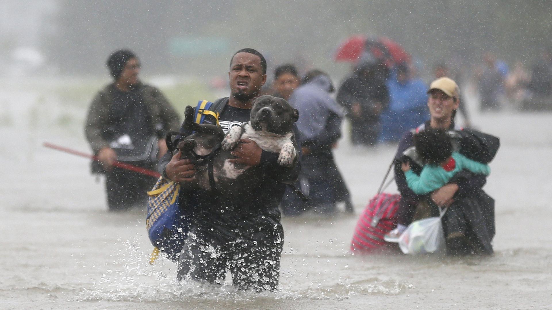 Isiah Courtney carries his dog Bruce through flood waters from Tropical Storm Harvey in Houston.