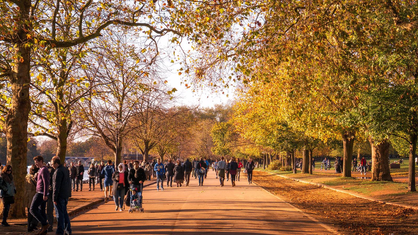 London residents take a stroll in Hyde Park on an autumn day. A new study showed that taking walks in a park setting may be much more beneficial than a similar walk on a crowded city street.
