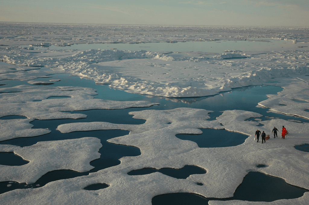 Sea ice melt