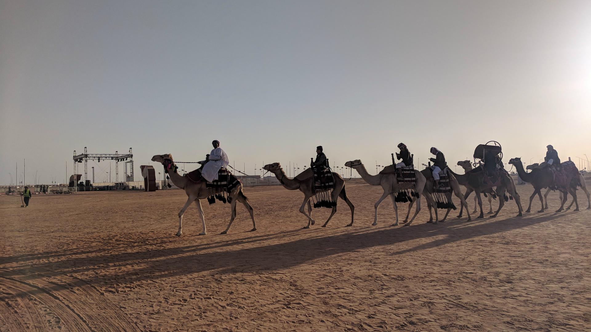 A man leads a caravan of camels at the King Abdulaziz Camel Festival in Saudi Arabia, a monthlong extravaganza honoring the “ships of the desert” and their place in the country’s history.