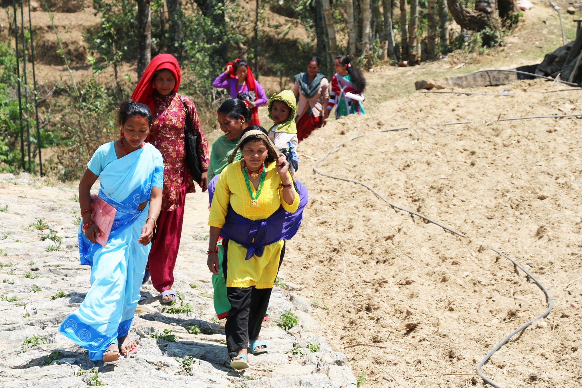 Women community health workers in Dolakha district walk up the hill for a monthly meeting inside the under-construction health center. The new building will replace the clinic destroyed in the earthquake last year. 