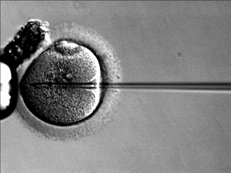 Canadian families seeking sperm donors tend to use US samples due to Canadian regulations on sperm donation.