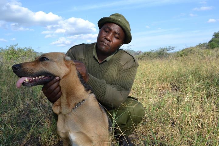Poacher turned ranger Mutinda Ndivo