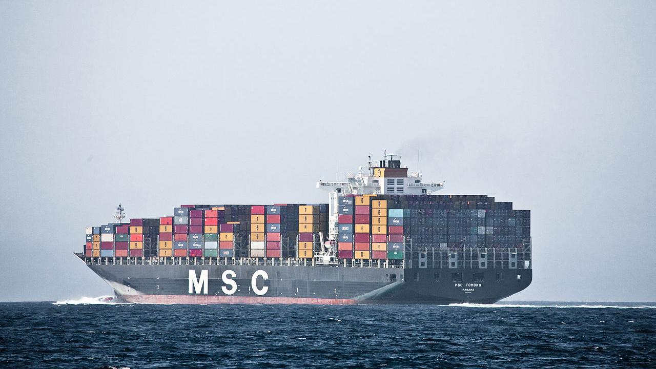 The container ship MSC Tomoko Panama in the Santa Barbara Channel in 2009. Ships like these pose deadly threats of pollution and collision to blue whales in the area.